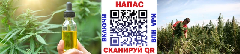 Canna-Cookies конопля  хочу   Асино 
