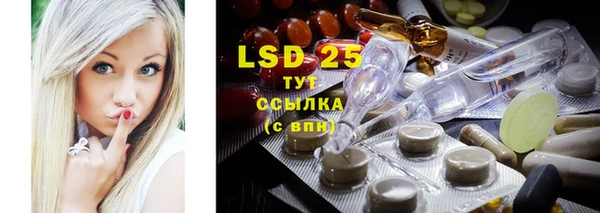 индика Алексеевка