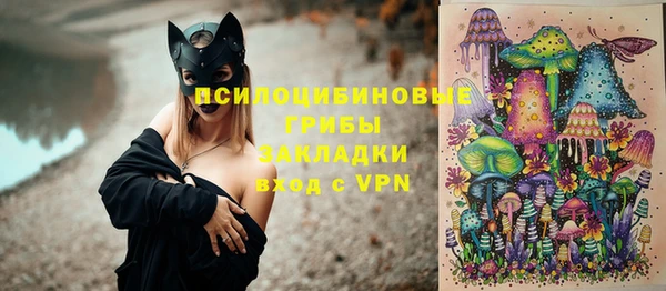 дурь Рославль