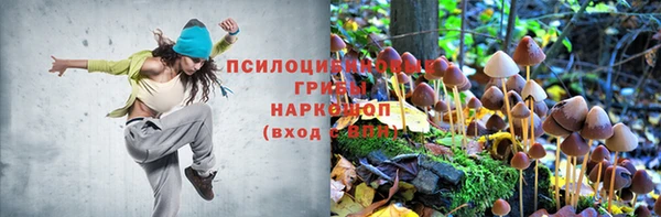 таблы Алексин
