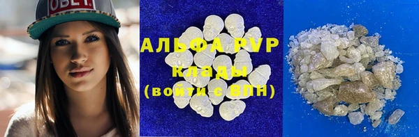 амф Россошь