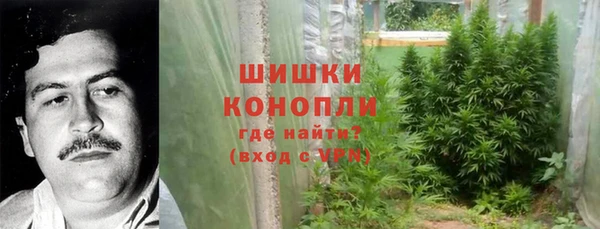 дурь Рославль