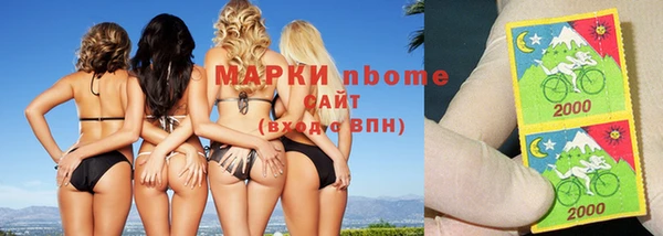 тгк Алзамай