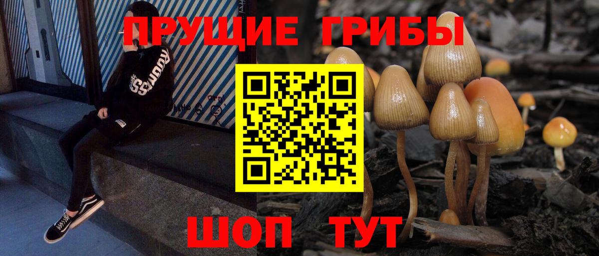 Асино  Галлюциногенные грибы мухоморы  Вход с VPN 